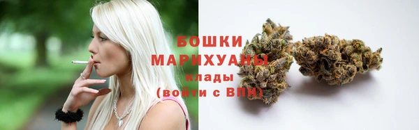 бутират Гусев