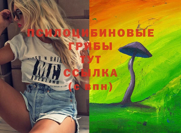 гашиш Горнозаводск