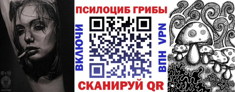 Псилоцибиновые грибы мицелий  Гусиноозёрск 